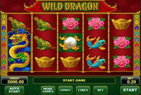 Wild Dragon  -  Amatic